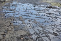 Tessellated Pavement