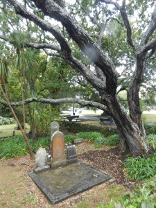 Symonds Street Cemetery