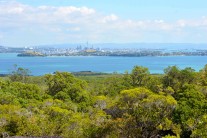Rangitoto