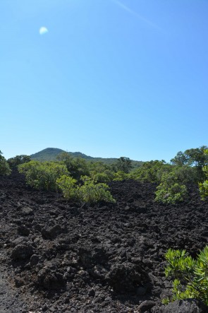 Rangitoto