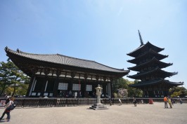 Nara Park