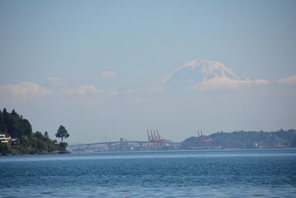 Discovery Park Hike