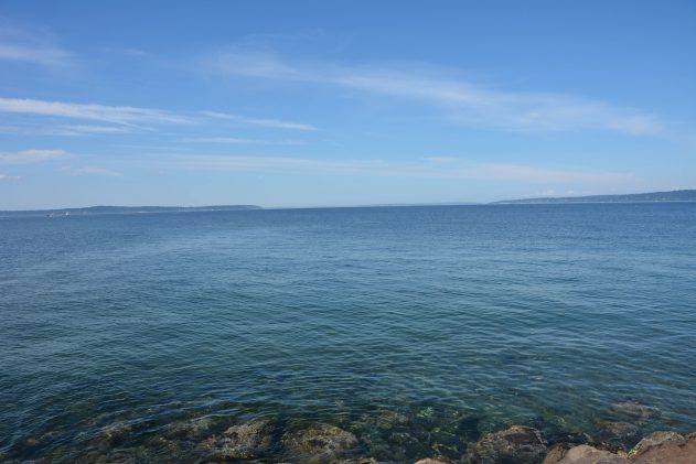 Discovery Park Hike