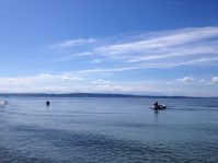 Discovery Park Hike