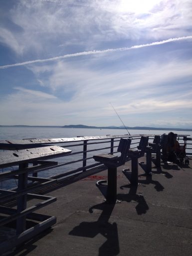 Discovery Park Hike