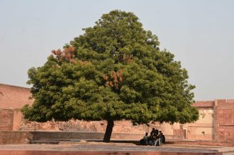 Agra Fort