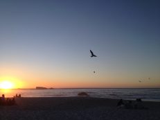 Cape Town Beach