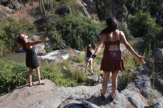 Santuario de La Naturaleza El Arrayán