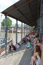 Tigre