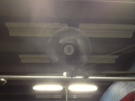 Fan