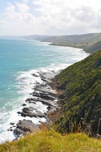 Great Ocean Road Drive
