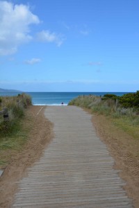 Great Ocean Road Drive