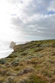 Great Ocean Road Drive