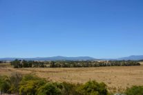 Yarra Valley