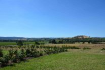Yarra Valley