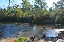 Yarra river