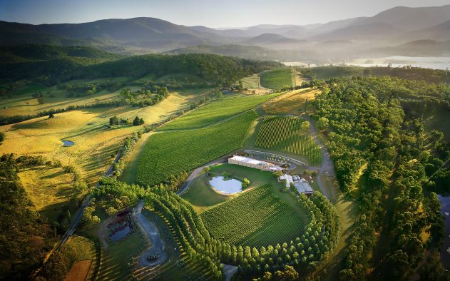 Tarrawarra Museum of Art and Winery