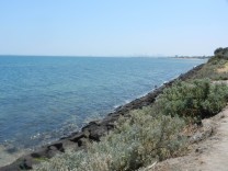 Brighton Beach