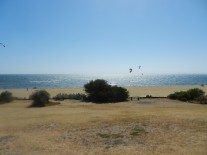 Brighton Beach