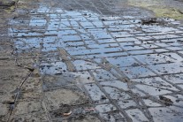 Tessellated Pavement