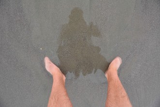 Pirate's Bay