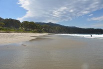 Pirate's Bay