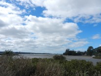 Meola Reserve
