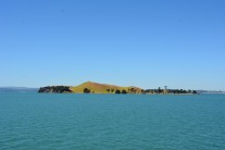 Waiheke Island trip