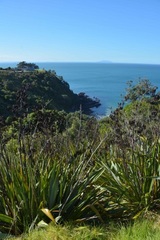 Waiheke Island trip