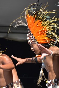 Pasifika 2014