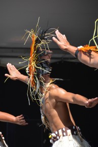 Pasifika 2014