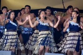 Pasifika 2014