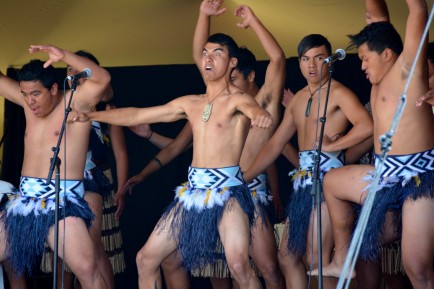 Pasifika 2014