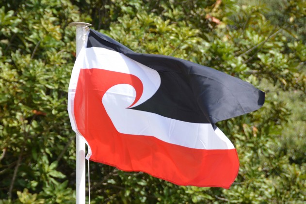 Pasifika 2014