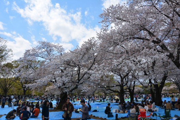 Tokyo