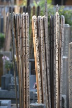 Yanaka
