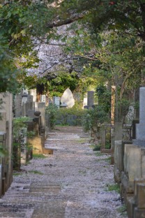 Yanaka