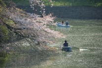 Imperial Gardens