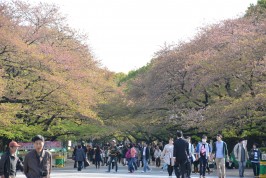 Ueno Park