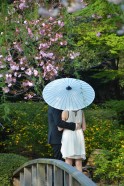Shinjuku Gyoen