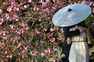 Shinjuku Gyoen