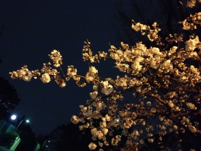 IMG_5005