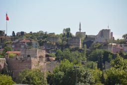 Golden Horn