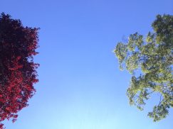 IMG_6577