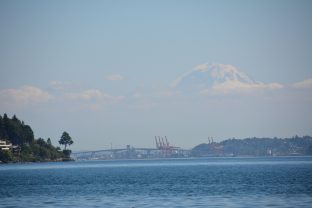 Discovery Park Hike