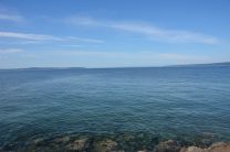 Discovery Park Hike