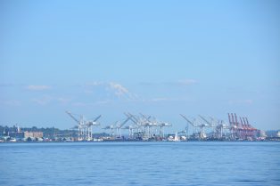 Discovery Park Hike