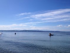 Discovery Park Hike