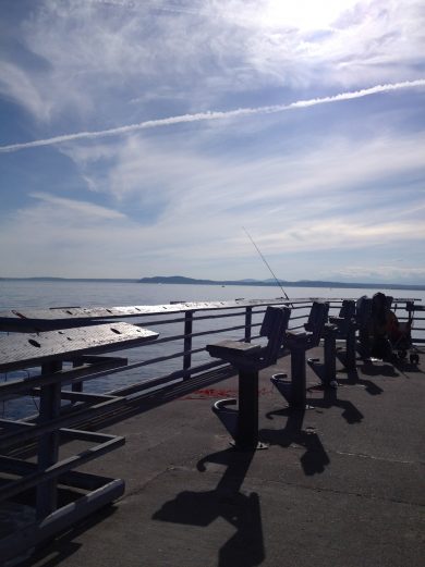 Discovery Park Hike
