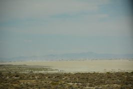 Driving into Black Rock City